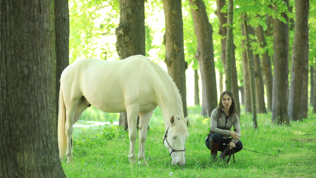 relaxed-walks-with-your-horse