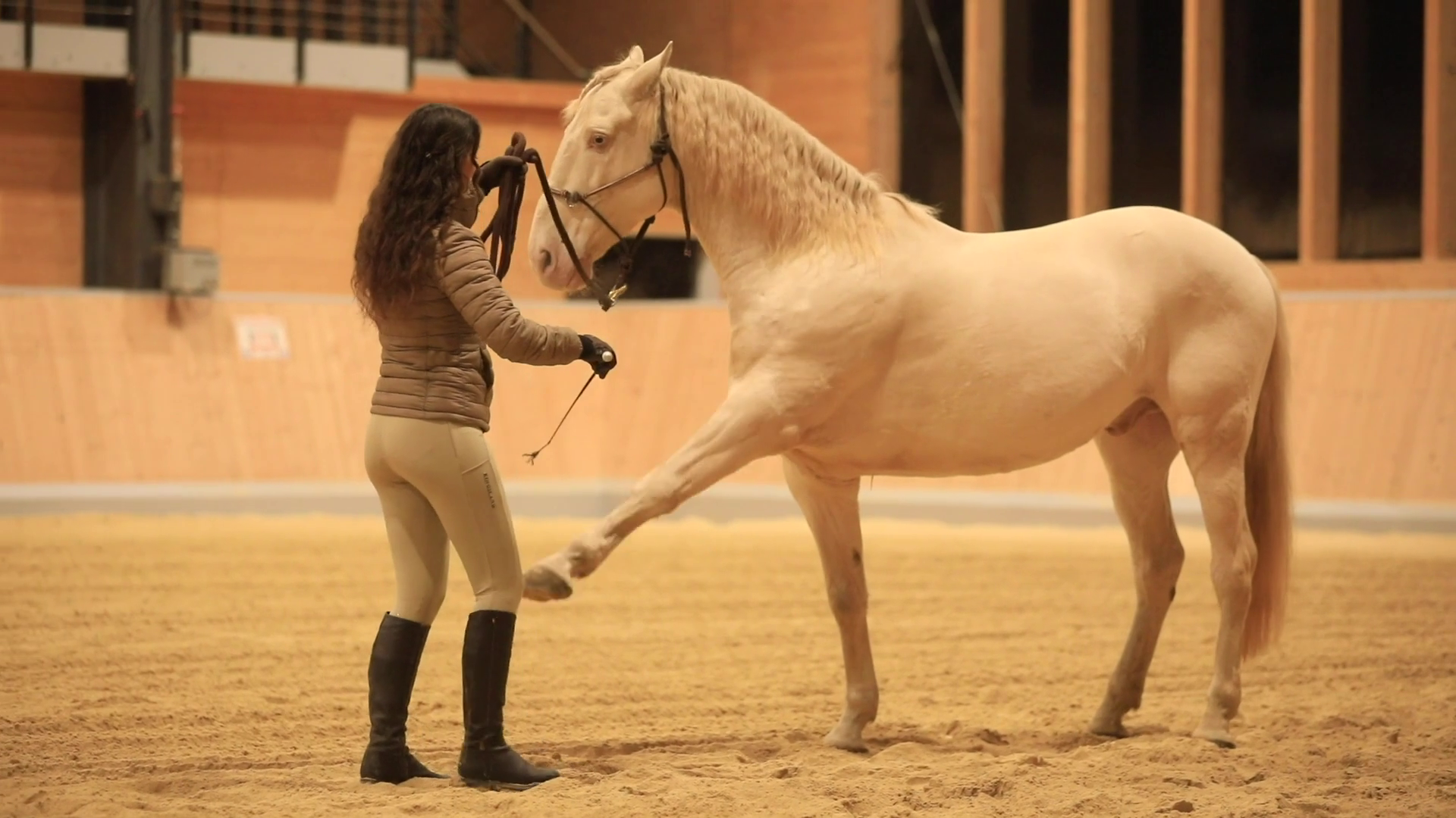 Spanish Walk - how to start this exercise with your horse - Kenzie