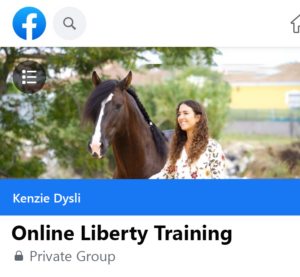 Facebook-Group - Online-Liberty-Training