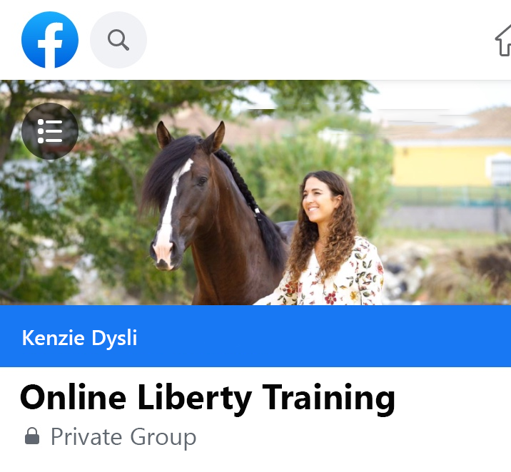 Facebook-Group - Online-Liberty-Training